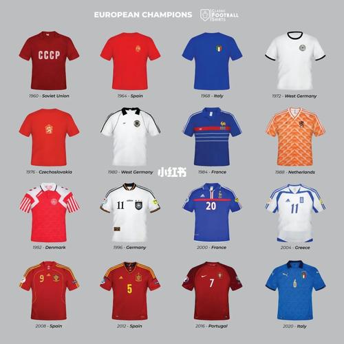 012年欧洲杯冠军球衣（12年欧洲杯名次）