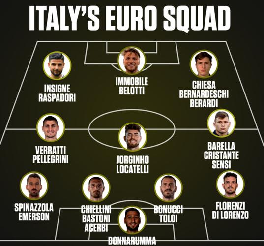意大利14年欧洲杯阵容（意大利14年欧洲杯阵容表）